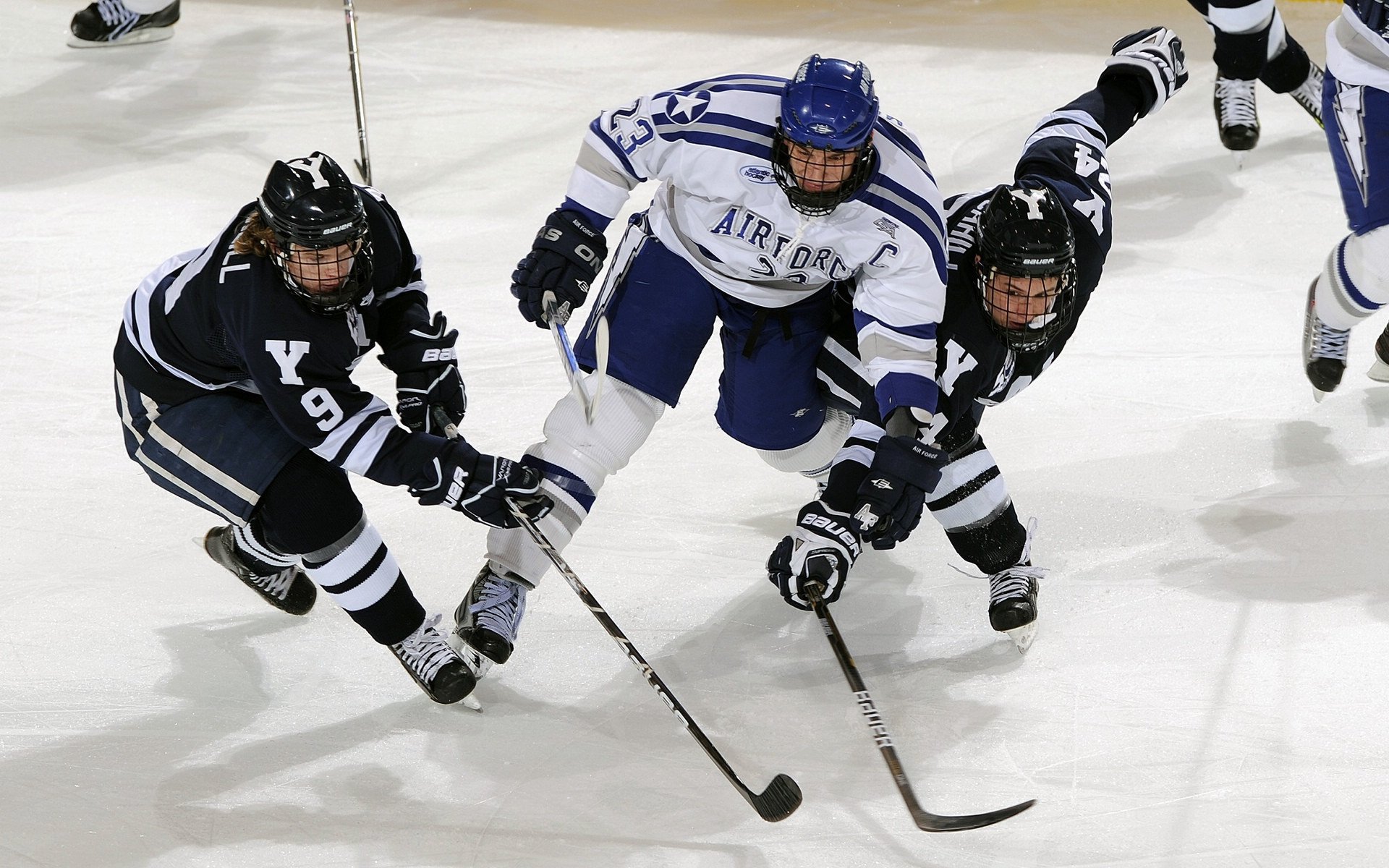 范弗利特单核破局,鹈鹕火力网绞杀黄蜂